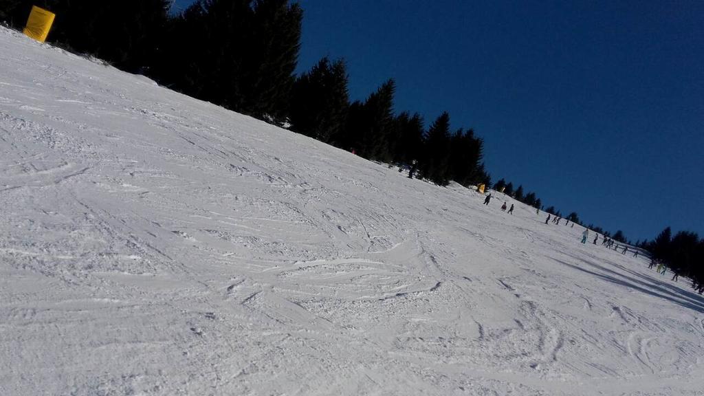 Apartment Sofi Yeti Kopaonik Exterior foto