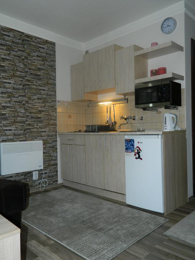 Apartment Sofi Yeti Kopaonik Exterior foto